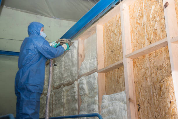 Best Insulation Removal Services  in Henderson, NV